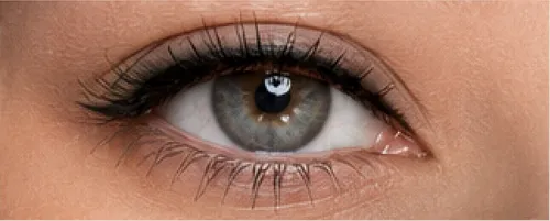 Wing eyeliner result