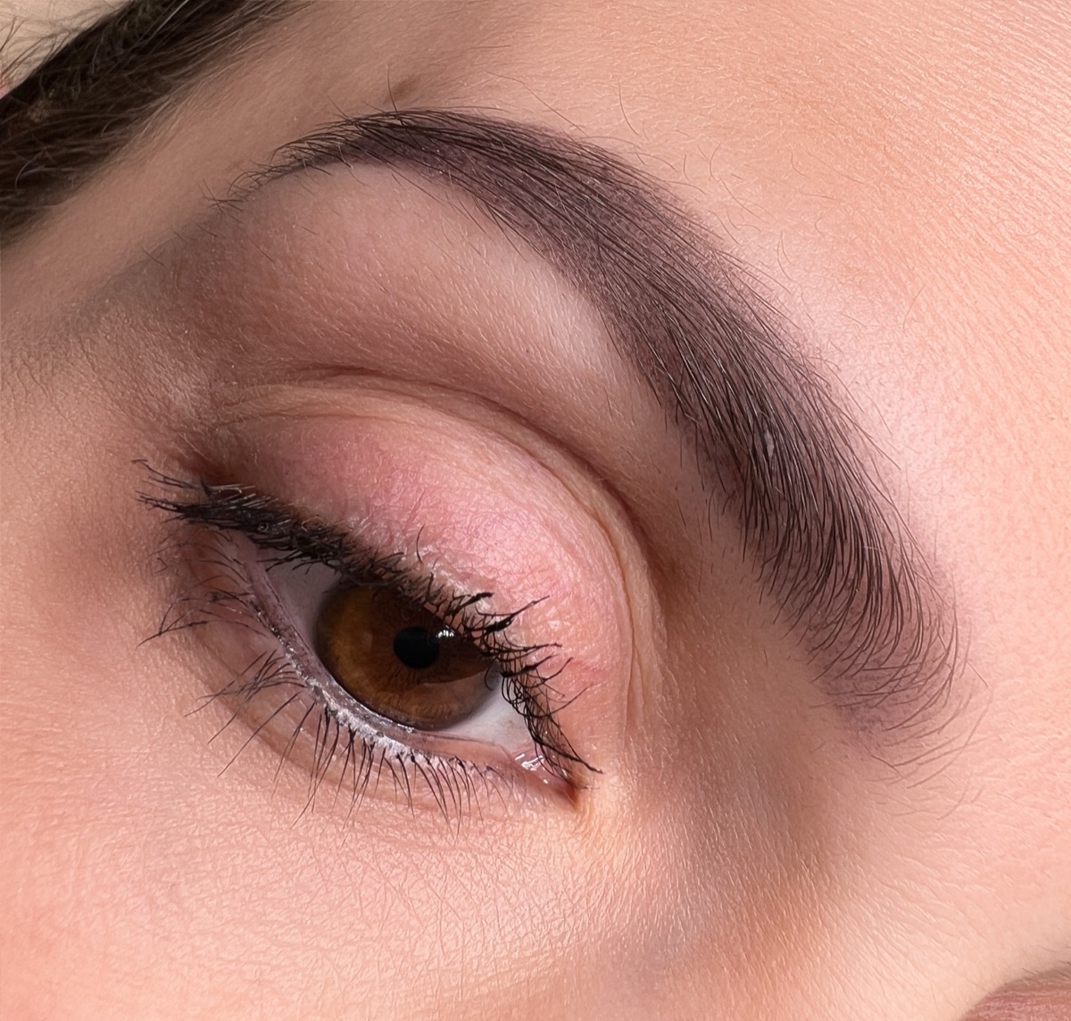 Powder brow result 2 by The Brow Babes, Louisville KY