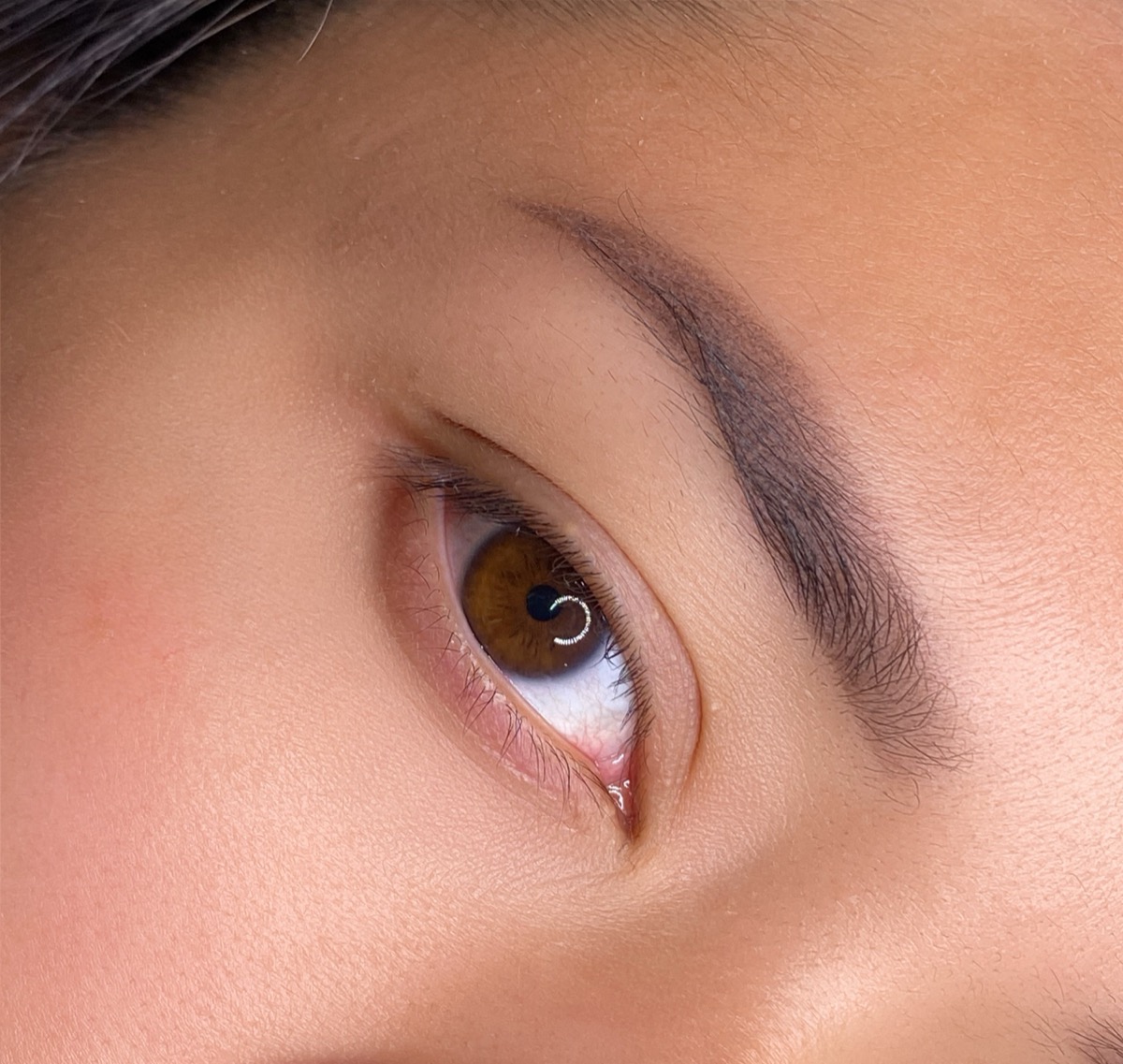 Powder brow result 10 by The Brow Babes, Louisville KY