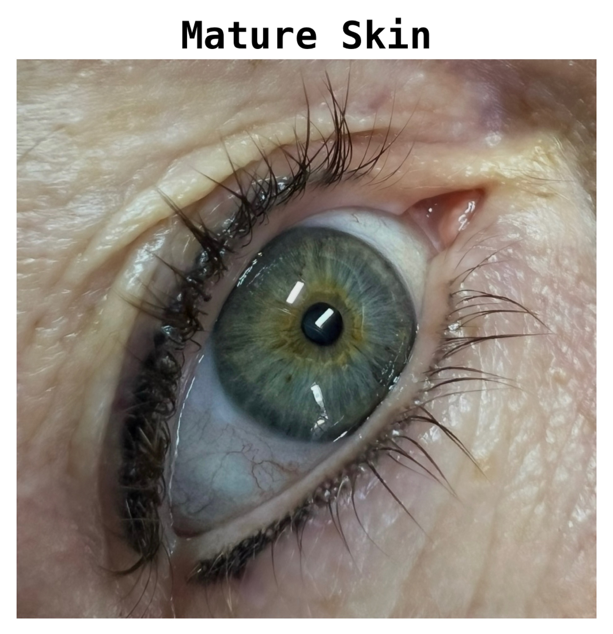 Permanent eyeliner result 12 by The Brow Babes