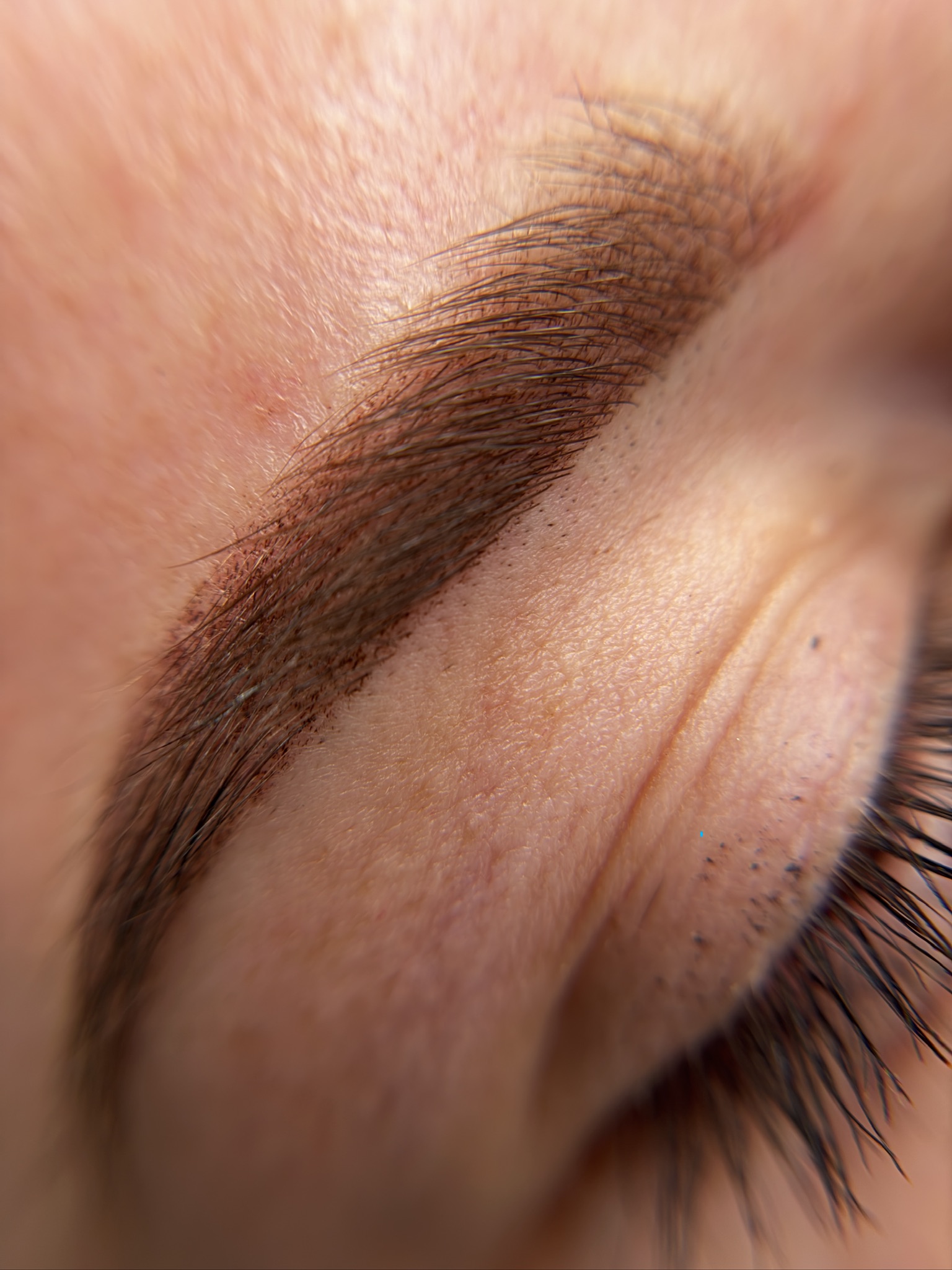 Defined Signature Brows — permanent eyebrows Louisville KY