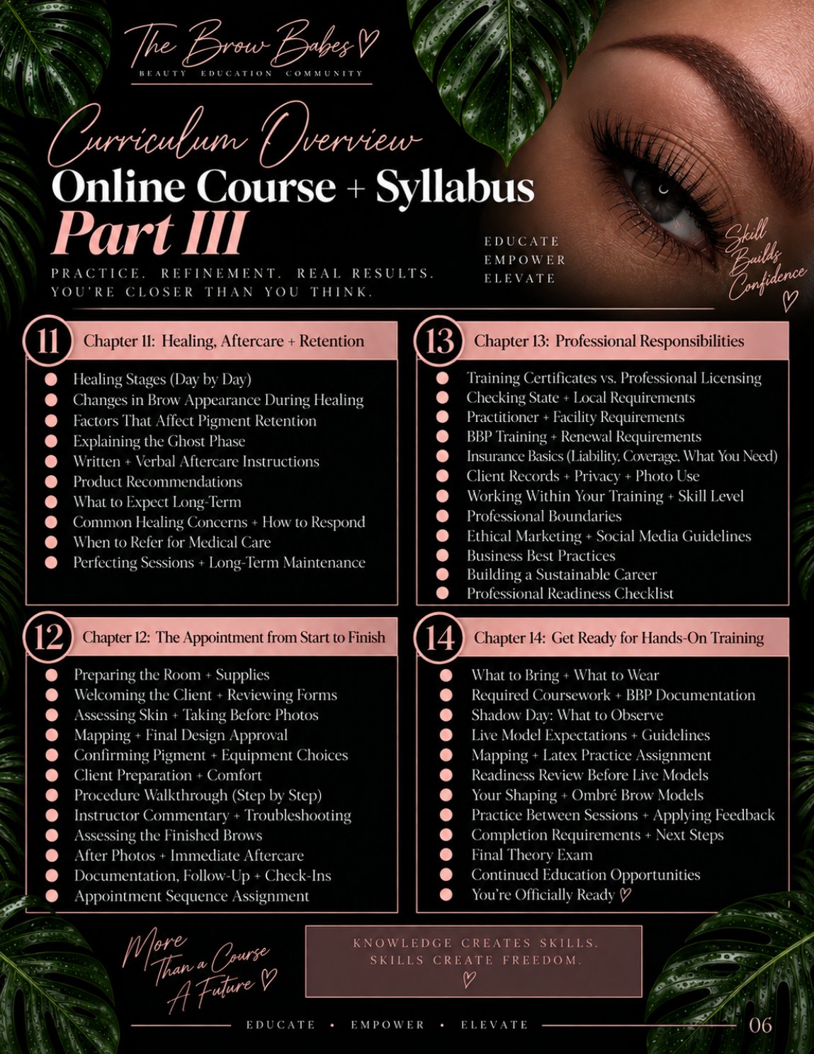 The Brow Babes 2026 powder brow training flyer — page 6 of 8